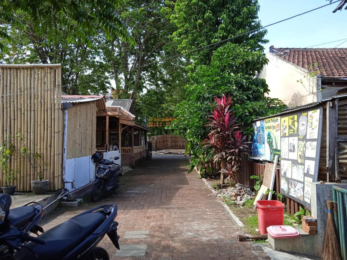 Backpacker Kawah Ijen Hostel บันยูวังงี ภายนอก รูปภาพ