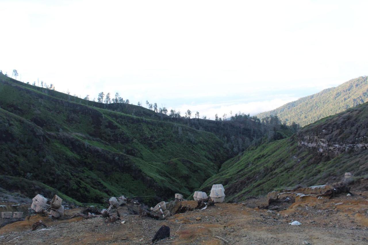 Backpacker Kawah Ijen Hostel บันยูวังงี ภายนอก รูปภาพ