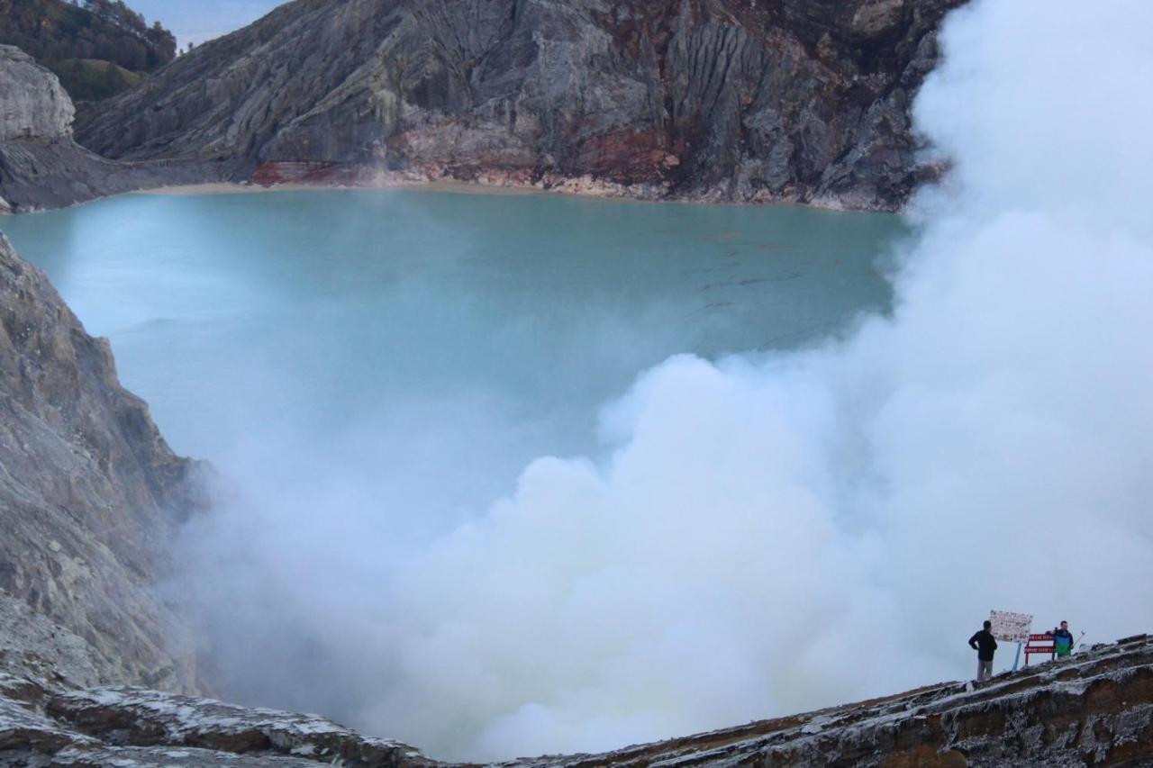 Backpacker Kawah Ijen Hostel บันยูวังงี ภายนอก รูปภาพ