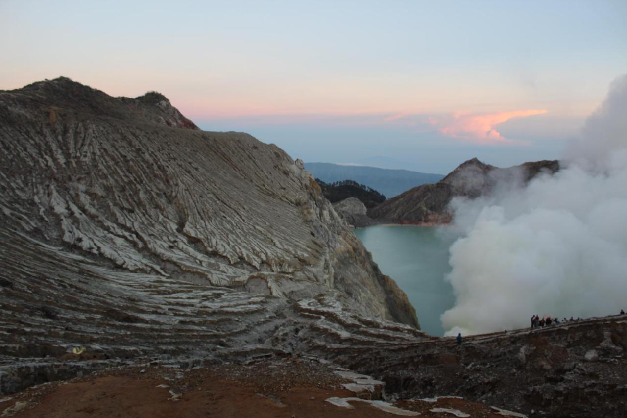 Backpacker Kawah Ijen Hostel บันยูวังงี ภายนอก รูปภาพ