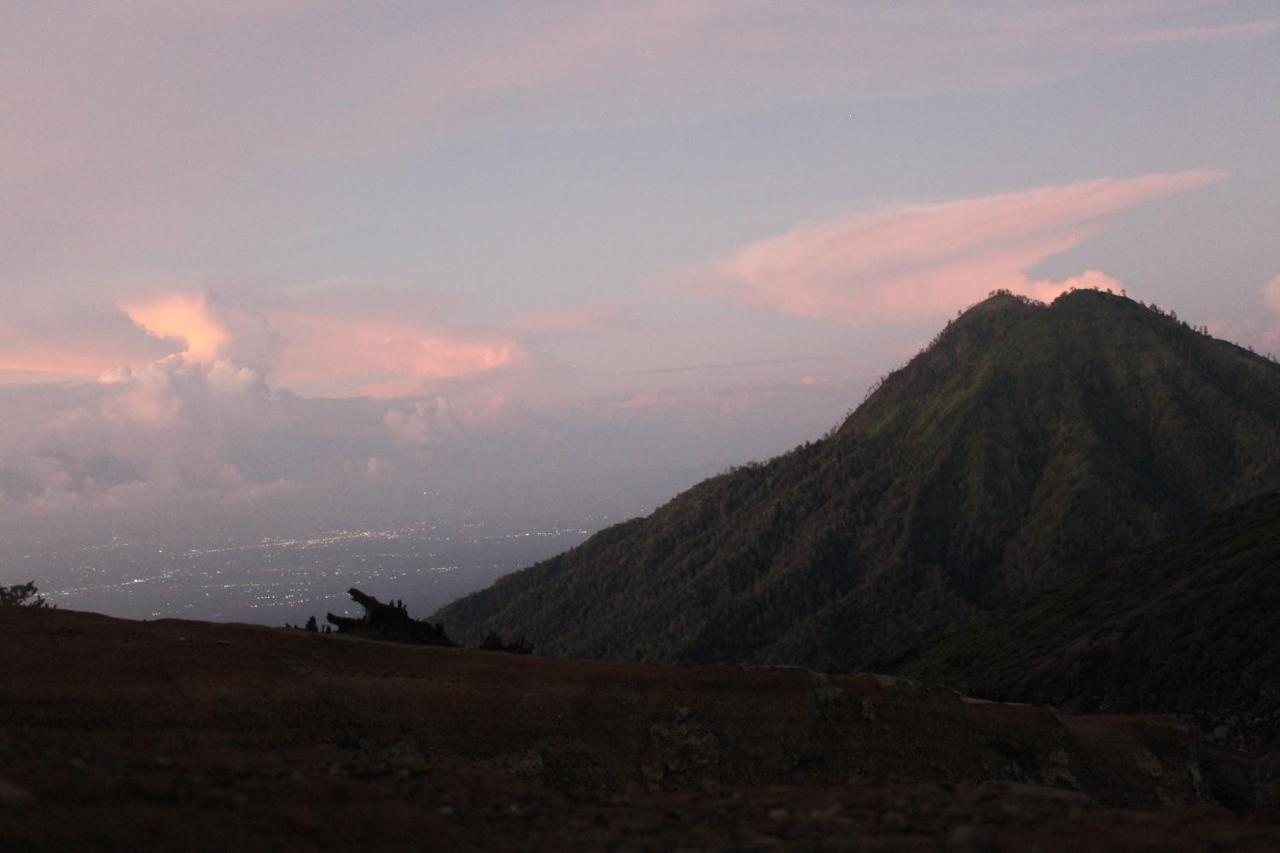 Backpacker Kawah Ijen Hostel บันยูวังงี ภายนอก รูปภาพ