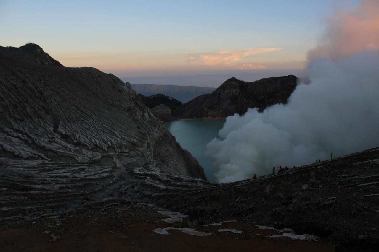 Backpacker Kawah Ijen Hostel บันยูวังงี ภายนอก รูปภาพ