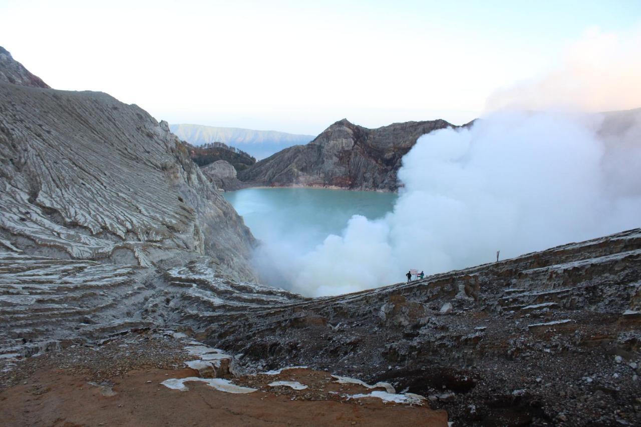 Backpacker Kawah Ijen Hostel บันยูวังงี ภายนอก รูปภาพ